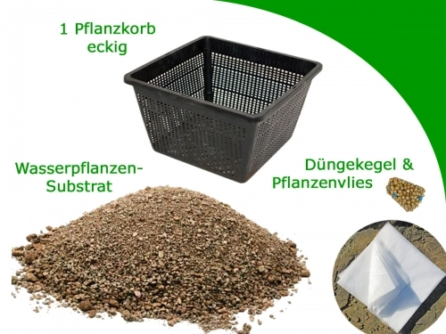 Sauerstoffpflanzen Komplett-Set